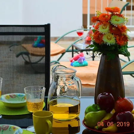 公寓 Central Anna Court Penthouse With 80m2 Veranda And Pool 帕拉利米尼
